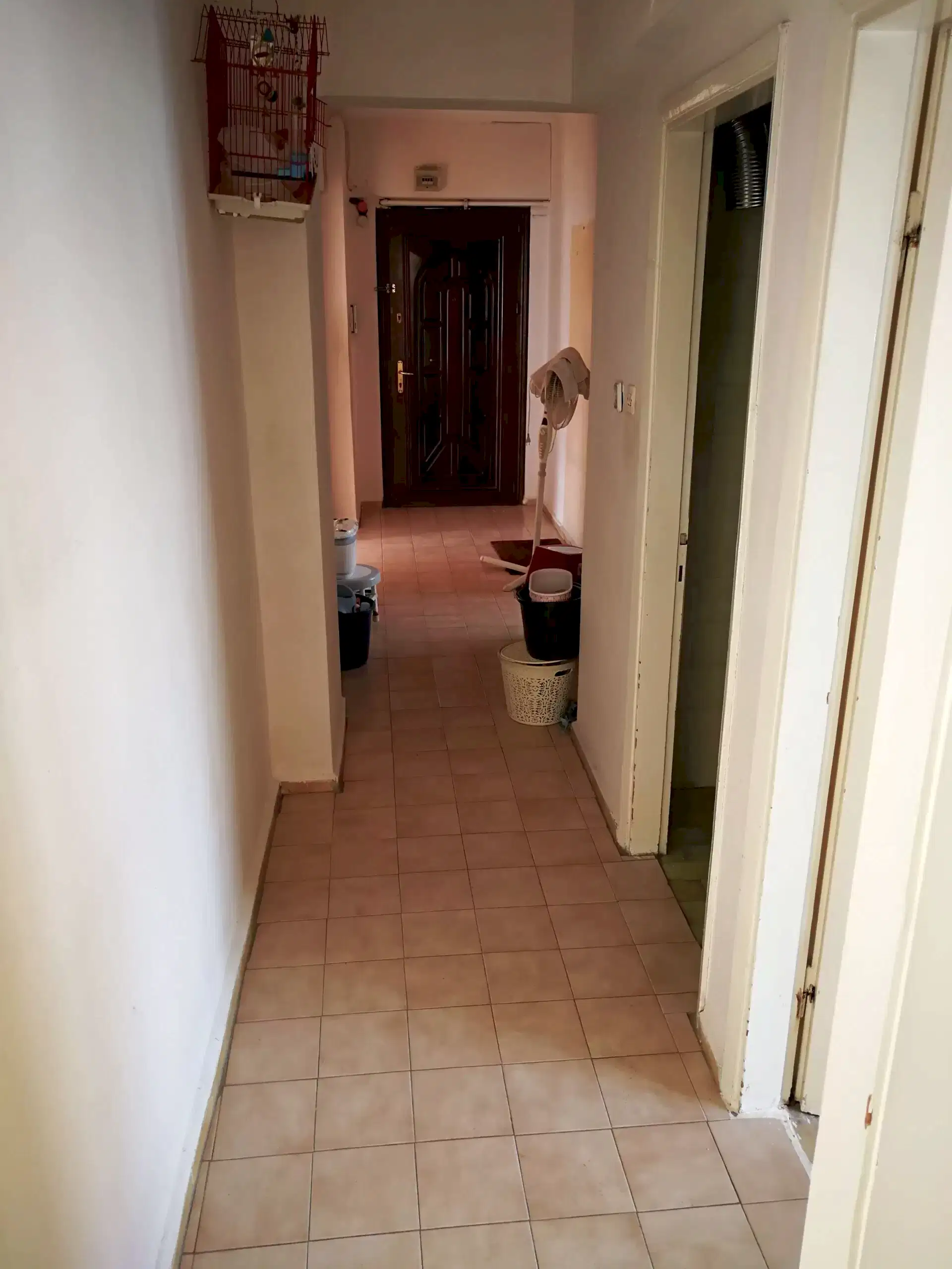 IMG 20181013 112252 scaled